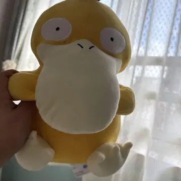 포켓몬 코닥 봉제 인형