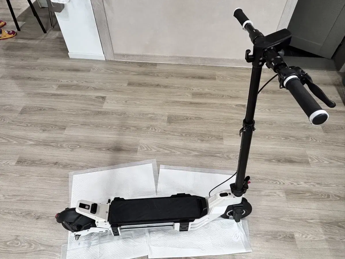 Nano Wheel Smart Electric Scooter 36v 21ah