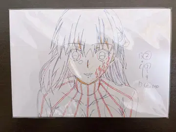 fate stay night 엽서 세트 자매 마도 오동나무 벚꽃