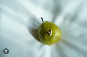 blanc iris 펄 이어 커프 블랑 이리스