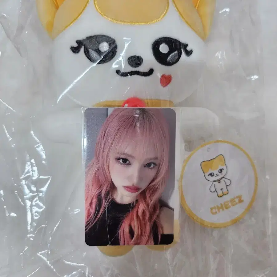 아이브IVE 미니브MINIVE 치즈냥12cm +포카 O