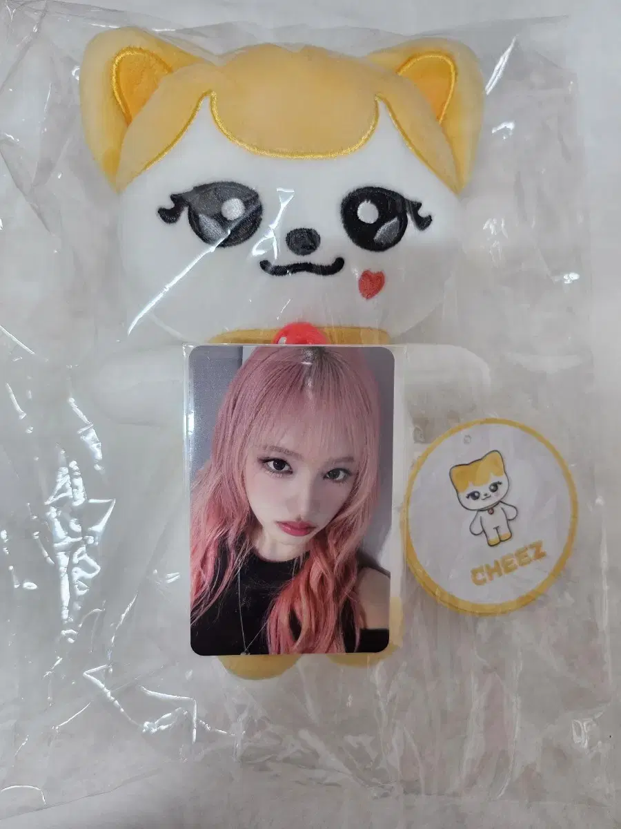 아이브IVE 미니브MINIVE 치즈냥12cm +포카 O