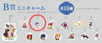 D.Gray-man POP UP SHOP B상 미니 참 아르마
