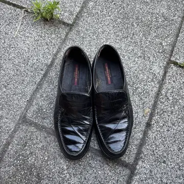 피에르 카르뎅 로퍼