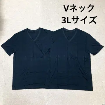 새상품 GUNZE BODY WILD 반팔 V넥 티셔츠 세트 판매