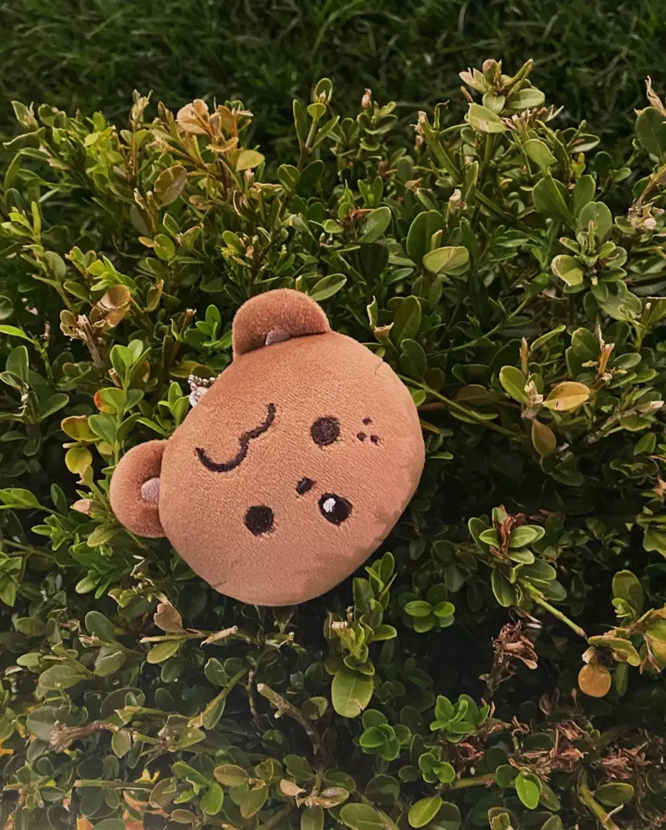 Haechan stress ball Haecomi wts