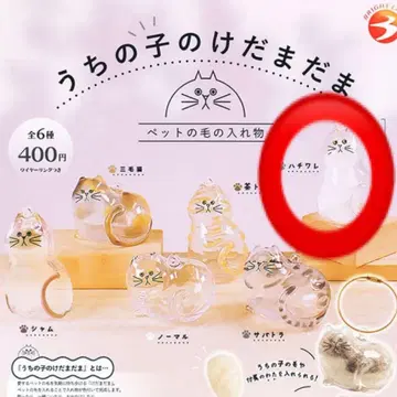 우리 아이의 털 고양이 하치와레 가챠 반려동물의 털 반려동물의 털 보관함
