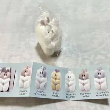 스키마 햄스터 장가리안 스노우 화이트