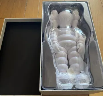 kaws what party 오픈 에디션 카우스 피규어