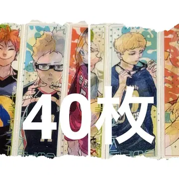 최강 점프 7월호 하이큐 클리어 책갈피 츠키시마 케이 40매 세트