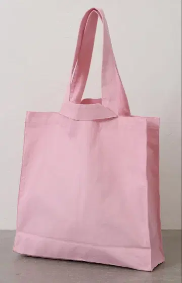 새상품 journal standard luxe 캔버스 2Way 백