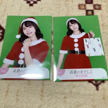 타카미네의 나데시코 브로마이드 하즈키 사라 2022 산타 ver