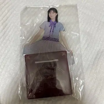 이쿠타 에리카 BIG 아크릴 스탠드