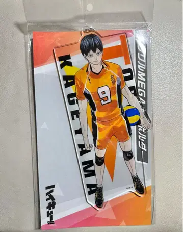 하이큐 카게야마 토비오 아크릴 MEGA 키링 카라스노 아크링 키링 원작