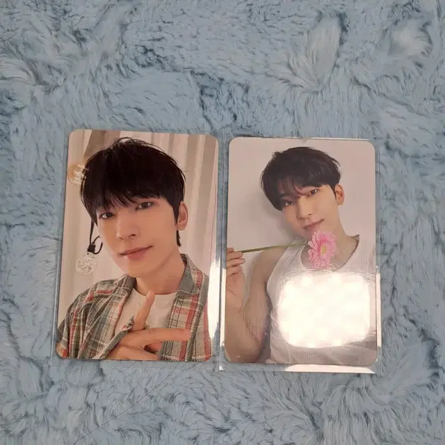 세븐틴 원우 포카 일괄 양도