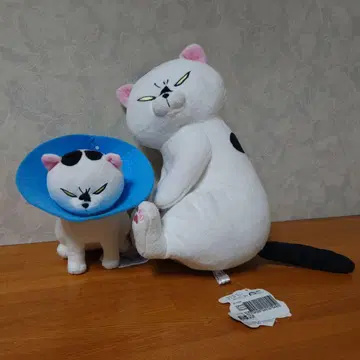개와 고양이를 모두 키우면 매일 즐겁다 [2개 세트]