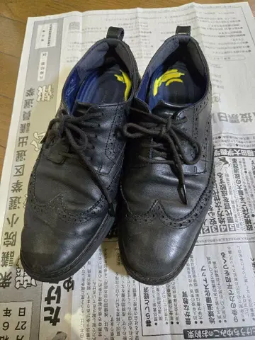 콜한 그랜드 에볼루션 숏 윙 옥스퍼드