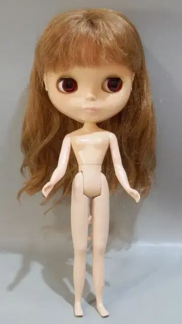 네오 브라이스 커스텀 브라이스