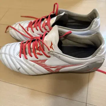 모나르시다 네오 3