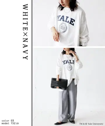 antiqua YALE 칼리지 로고 롱 T