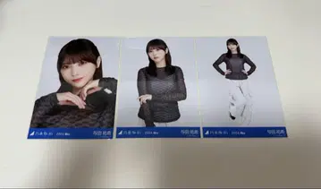노기자카46 브로마이드 카고 팬츠 컴프 요다 유키