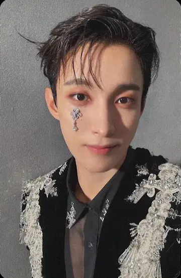 SEVENTEEN DK 소비기한 초회 한정판 A 트레이딩 카드 셀카