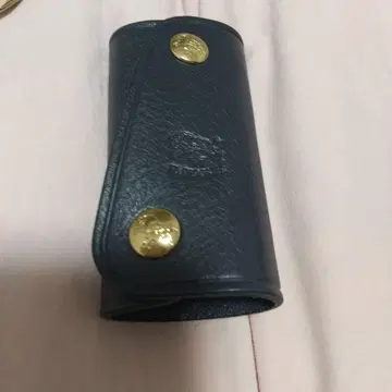 일비종떼 키케이스
