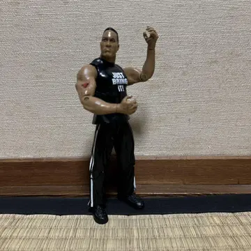 wwe 피규어 락