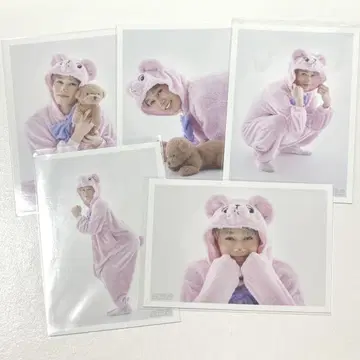 초특급 마사히로 B9 브로마이드 컴프