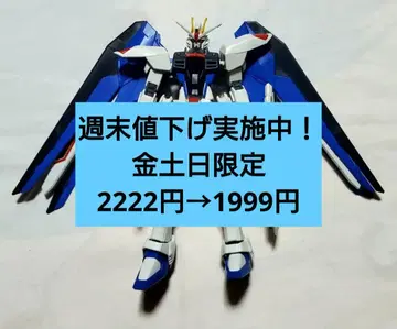건담 SEED HG 프리덤 건담 조립 완료 정크