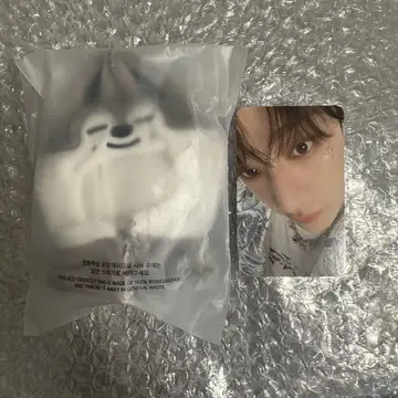 스키즈 울프 찬 SKZOO 10CM 플러시 의상