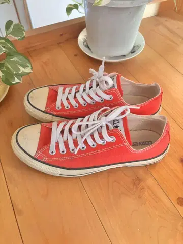 ALL STAR 빨간색