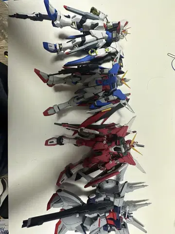 mg seed destiny 4개 세트