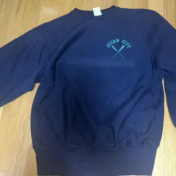 챔피온 리버스 위브 XL