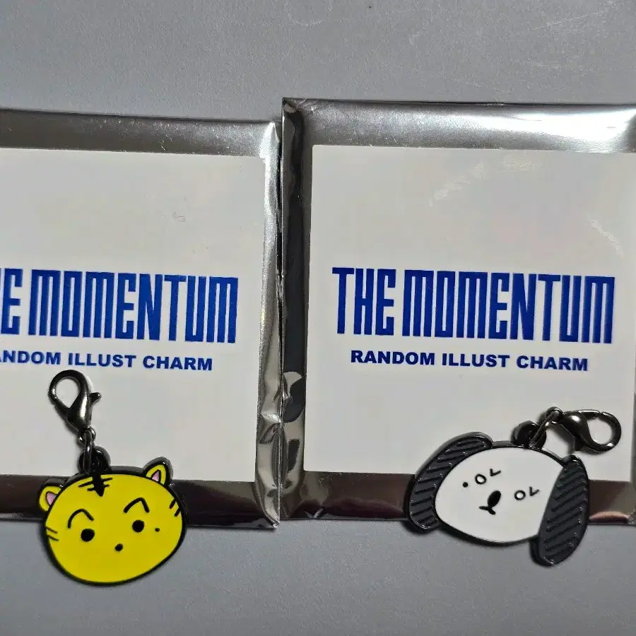 NCT127 The Momentum MD Random Keyring Mark Jungwoo wts on