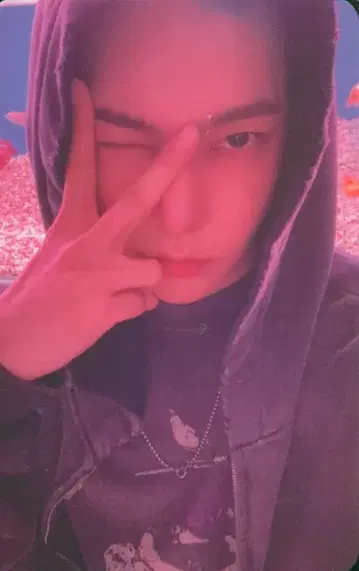 NCT 127 QR 버전. 도영 팩트 체크
