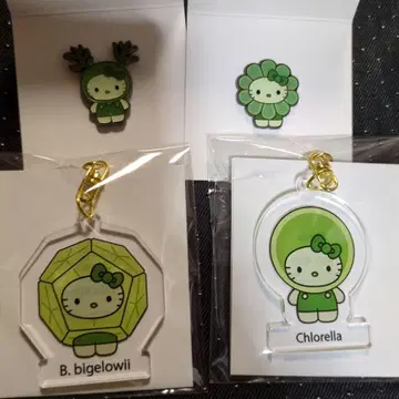 Algae 키티 엑스포 일본관 한정 핀 배지&키링 세트