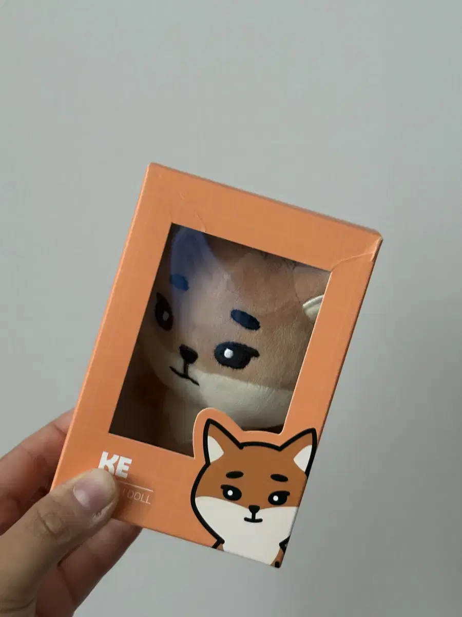 DAY6 Denimals 20K wts