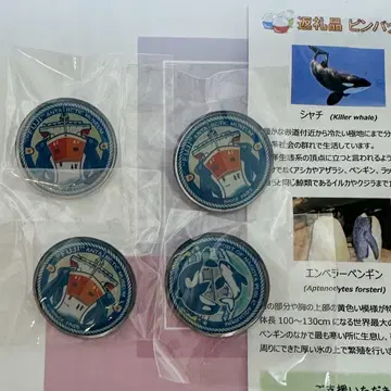 나고야항 수족관 핀 배지 가챠가챠