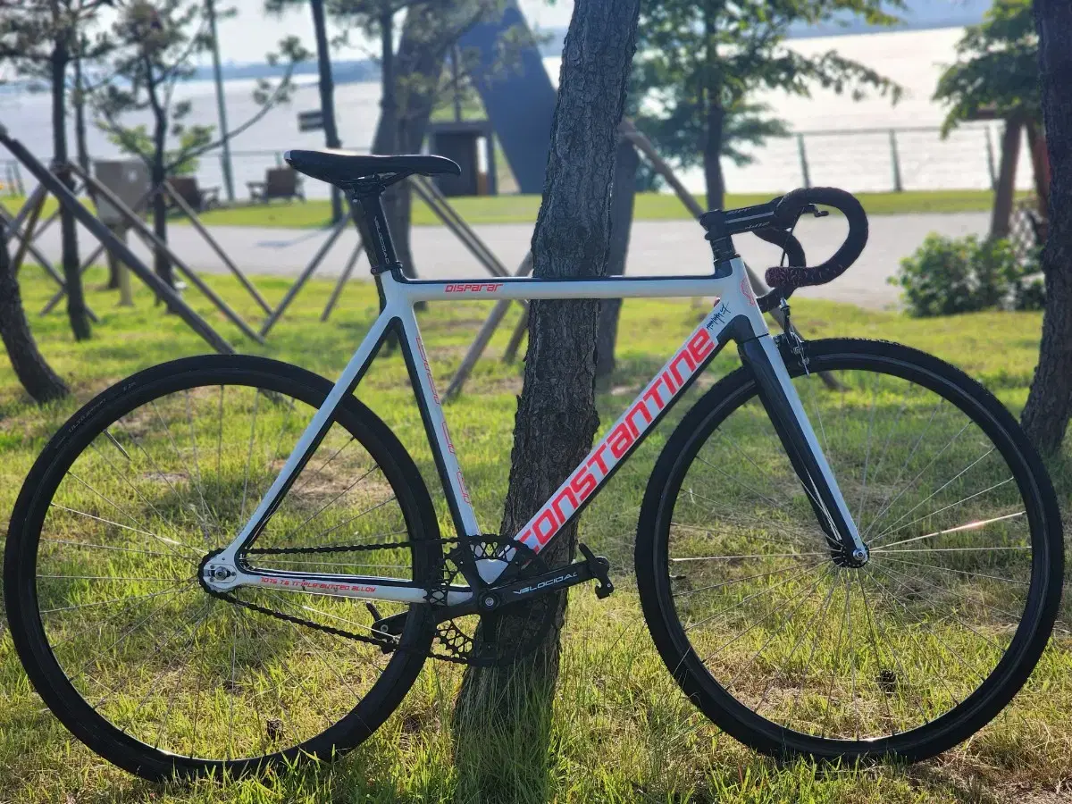 Constantine Disperal 2024 White Gray Fixed Gear