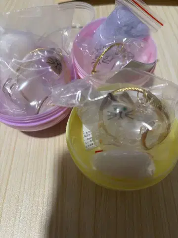 우리 아이의 털뭉치