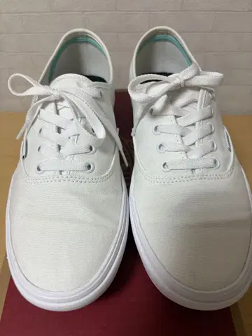 Vans AUTHENTIC TRUE WHITE 화이트 화이트 27.5cm