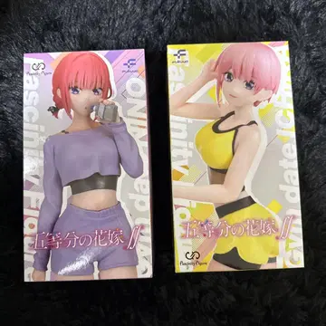 Pascinity Figure Gym date 2개 세트