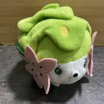 포켓몬 마티리 봉제 인형 셰이미 랜드 형태 봉제 인형 타카라토미 5