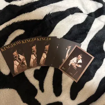 3대째 JSB 이마이치 류지 kingdom 포토 카드
