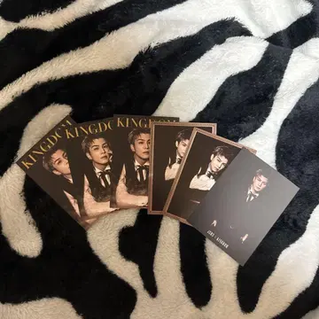 3대째 JSB 이와타 타카노리 kingdom 포토 카드