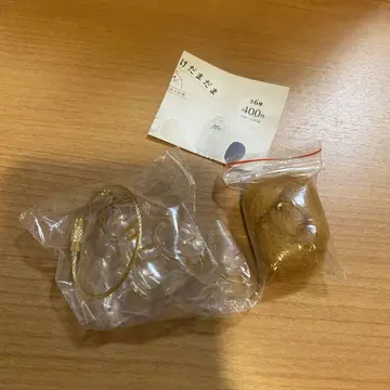 우리 아이의 털뭉치, 브라운