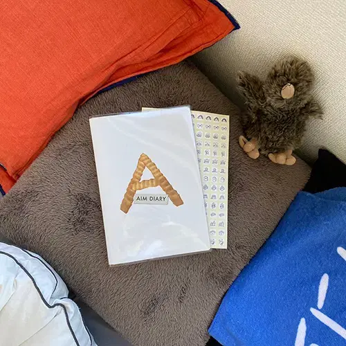 Aimyon AIM Diary 2021-2022