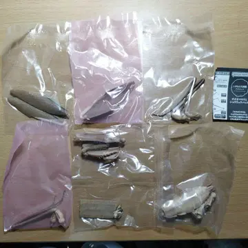 생물대도감 어드밴스 오오카마키리 갈색형 캡슐판 피규어 가챠