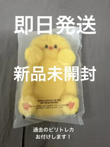 피리 포가리 트레이딩 카드 케이스 펜미